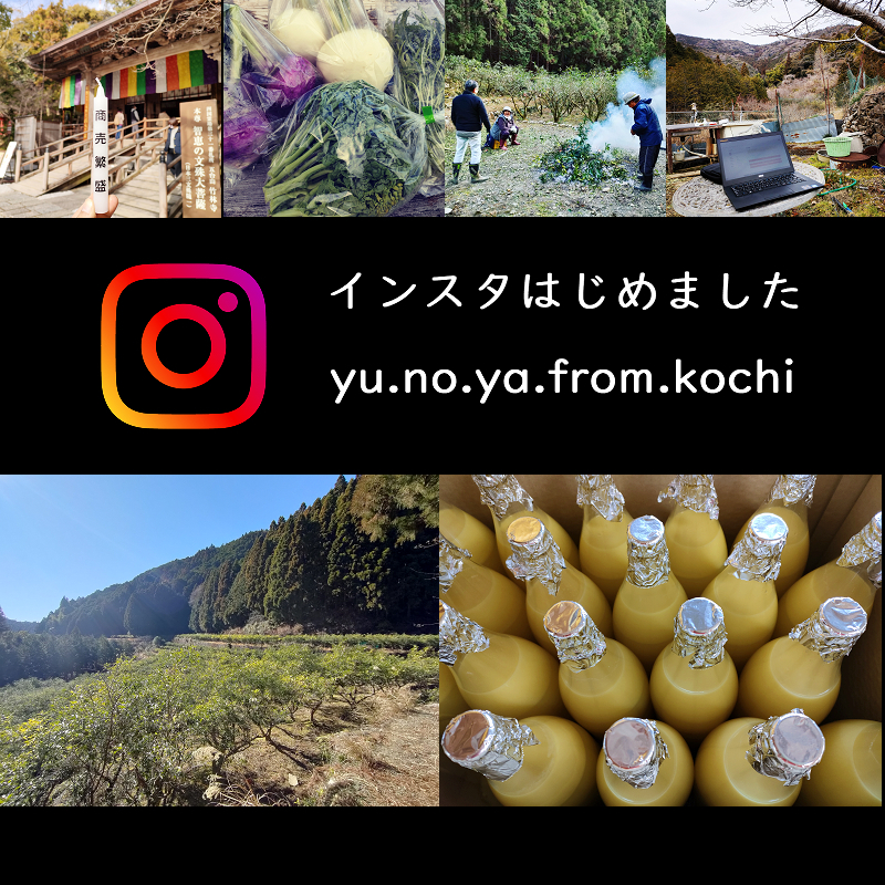 柚のや 送料無料 高知県産ゆず酢900ml×2本 農薬不使用・無添加 柚のや 送料無料 高知県産ゆず酢900ml×2本 農薬不使用・無添加