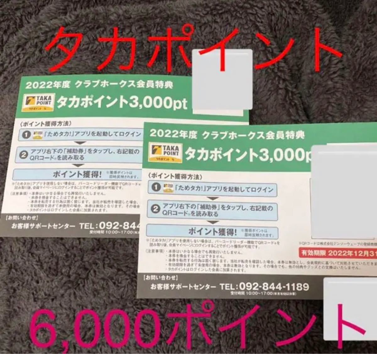 完成品 タカポイント 6000pt - その他 - cronoslab.org 完成品 タカポイント 6000pt - その他 - cronoslab.org