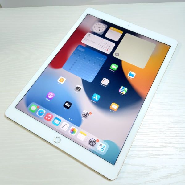 ☆【17873WM】 完動品 Apple iPad Pro 12.9インチ 第2世代 Wi-Fi 64GB