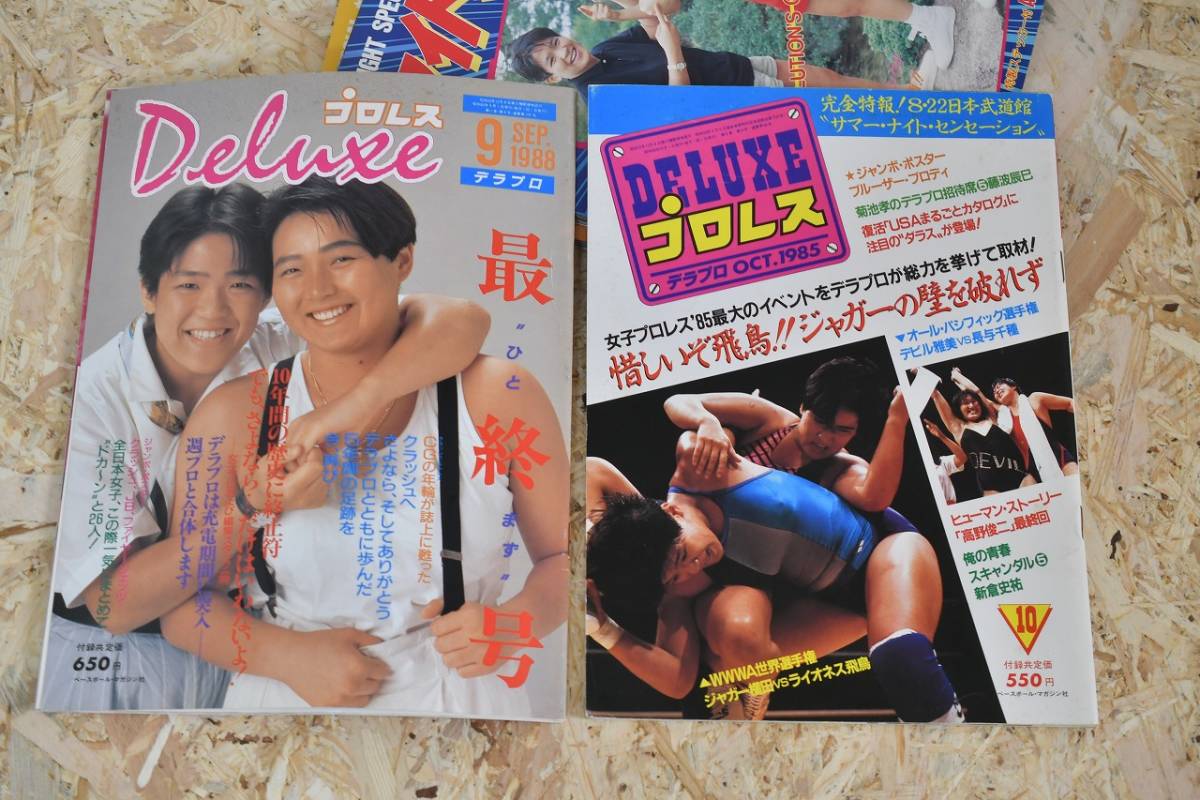 レトロ 80年代 ファイト・スペシャル 虹色の戦士たち プロレス デラプロ 女子プロレス ポスター ステッカー など まとめての画像4