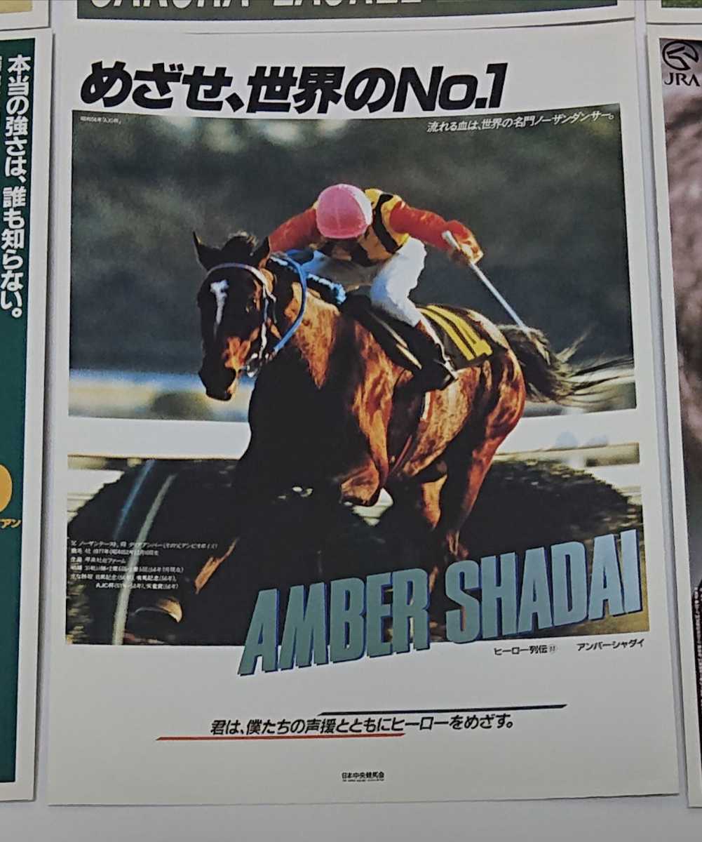 贅沢屋の 【非売品】競馬 JRA B3 53 ナリタトップロード