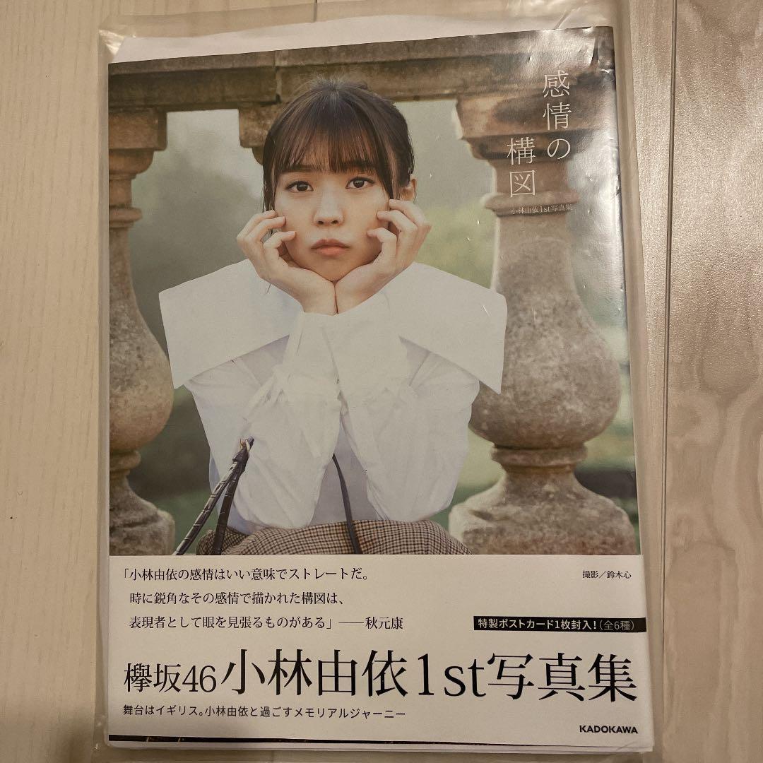 即発送可能】 小林由依 写真集 直筆サイン入りパネル パネル展 fawe.org
