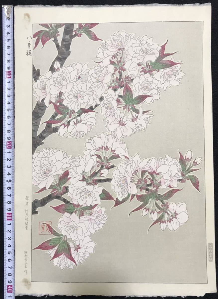 河原崎堂(清一)作「ハ重桜」浮世絵 木版画 1957年(昭和32年) 河原崎堂(清一)作「ハ重桜」浮世絵 木版画 1957年(昭和32年)