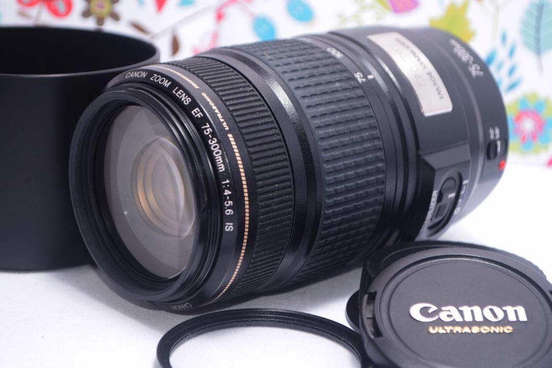 フード付き 人気の望遠レンズ キヤノン Canon EF75-300㎜-