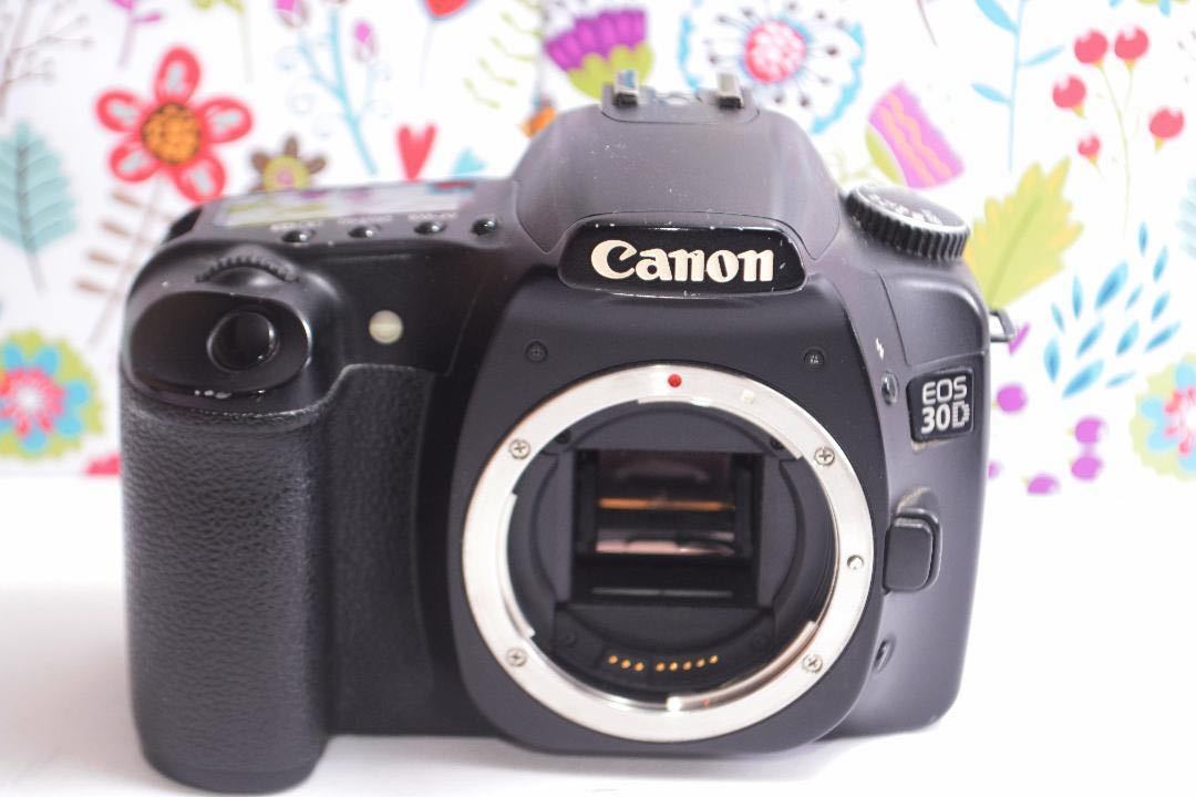お散歩カメラCanon EOS 30D高画質コンパクトすぐ使える | laninternet