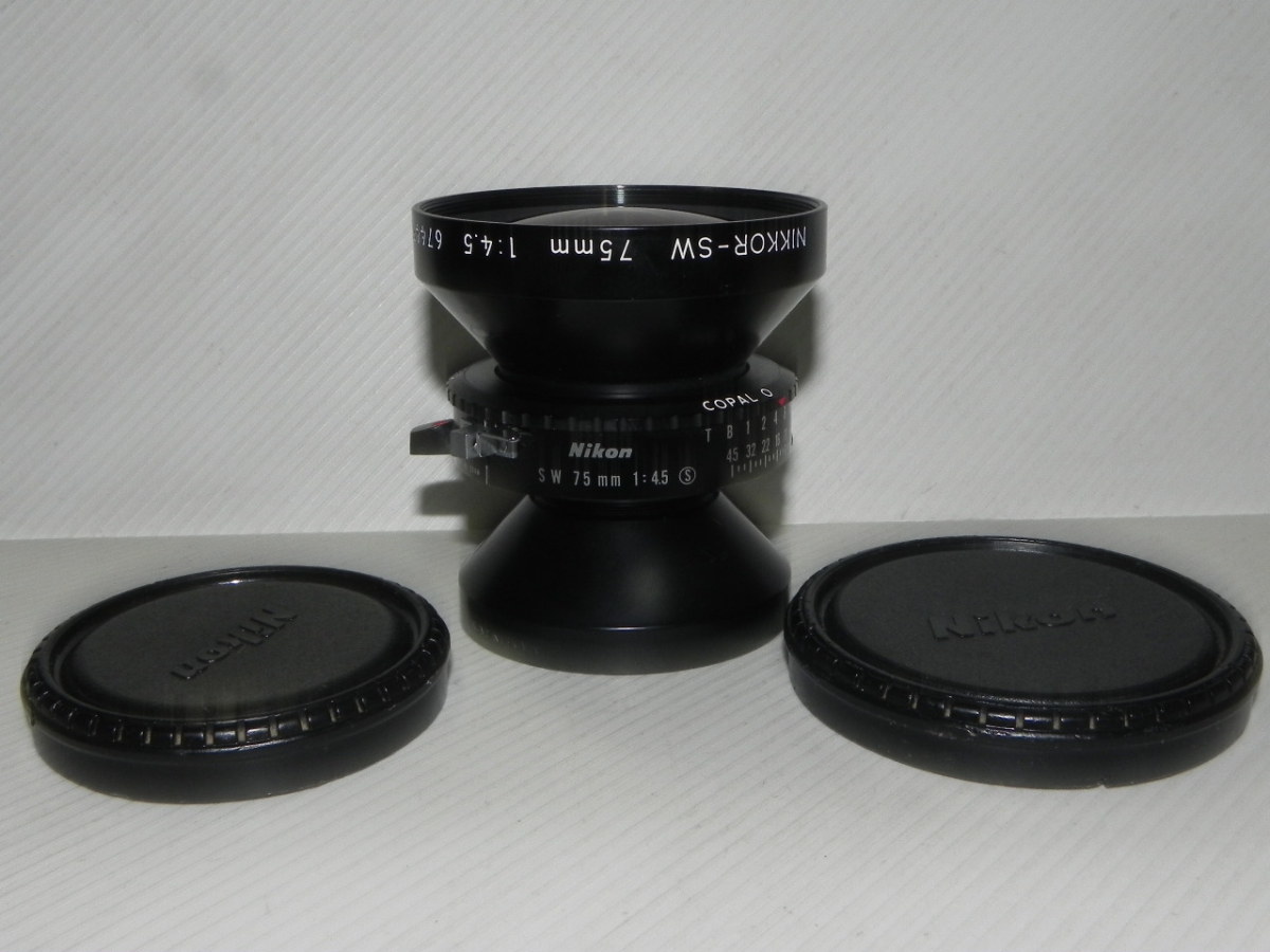 Nikon NIKKOR-SW 75mm/f4.5 レンズ | clinicamedicasantapaulina.com.br