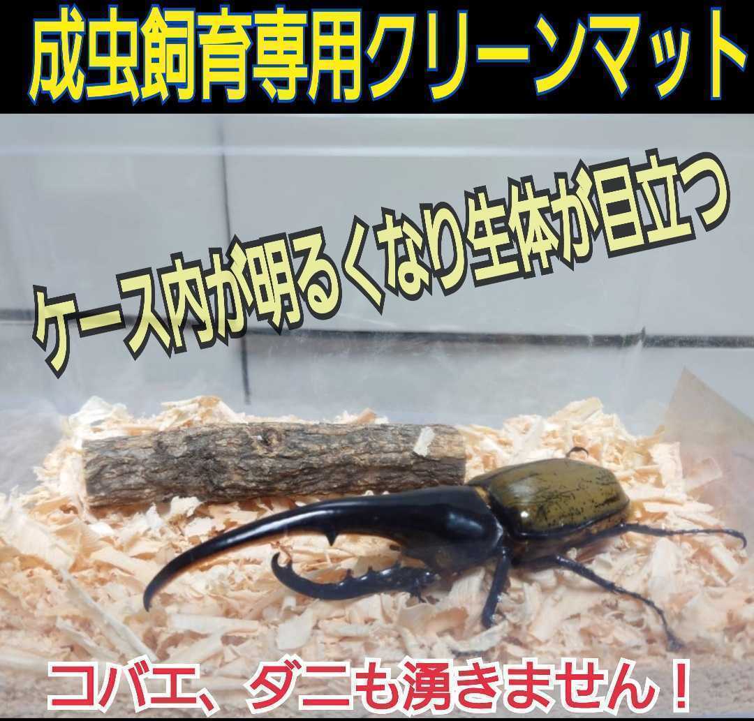 成虫管理にはこれが一番です！爽やかな香りの針葉樹クリーンマット☆生体が目立ちケース内が明るくなります☆コバエやダニもわきません10L_画像7