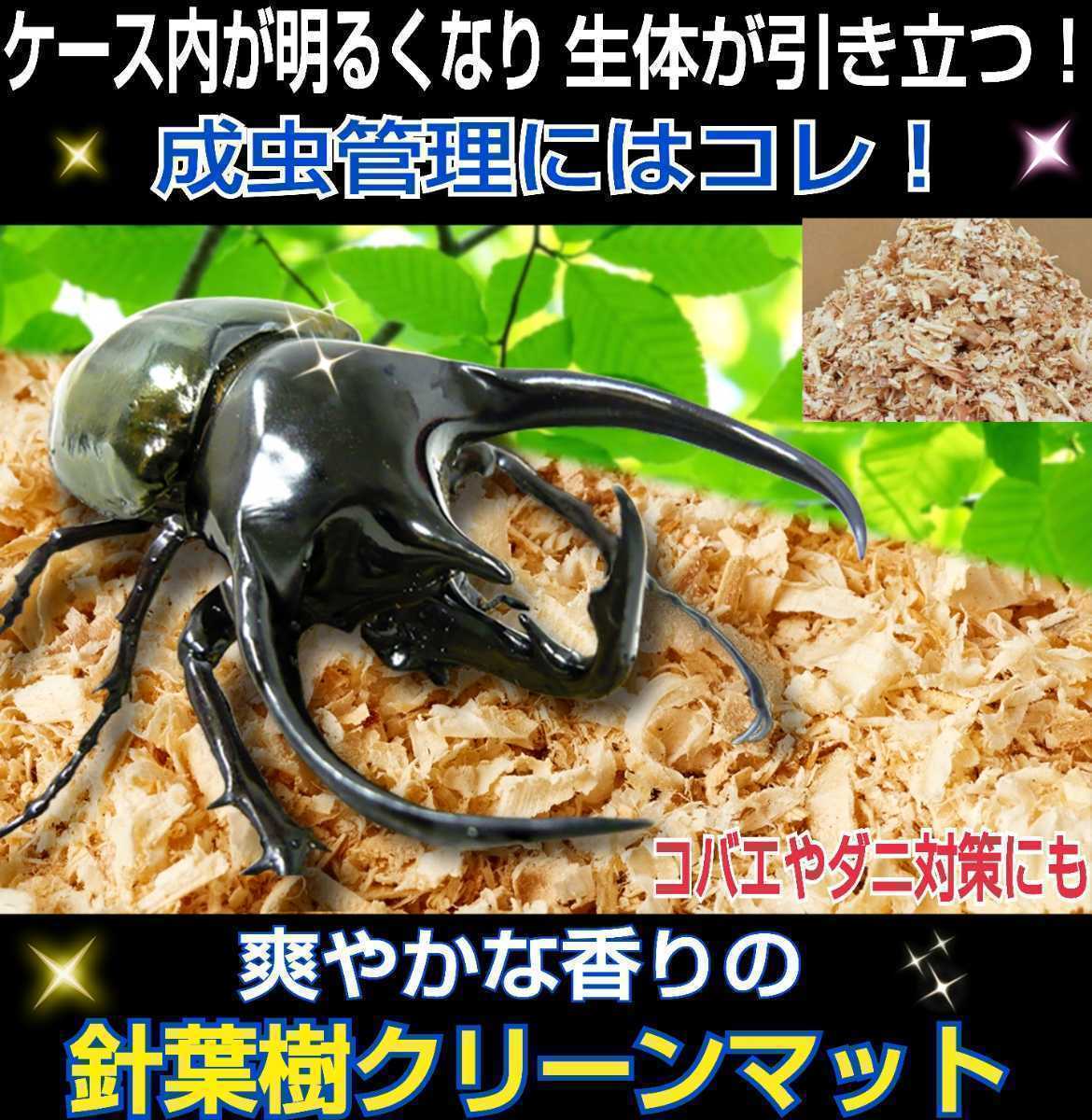☆大人気商品☆ 昆虫ゼリー プロゼリー50 クワガタ カブトムシ