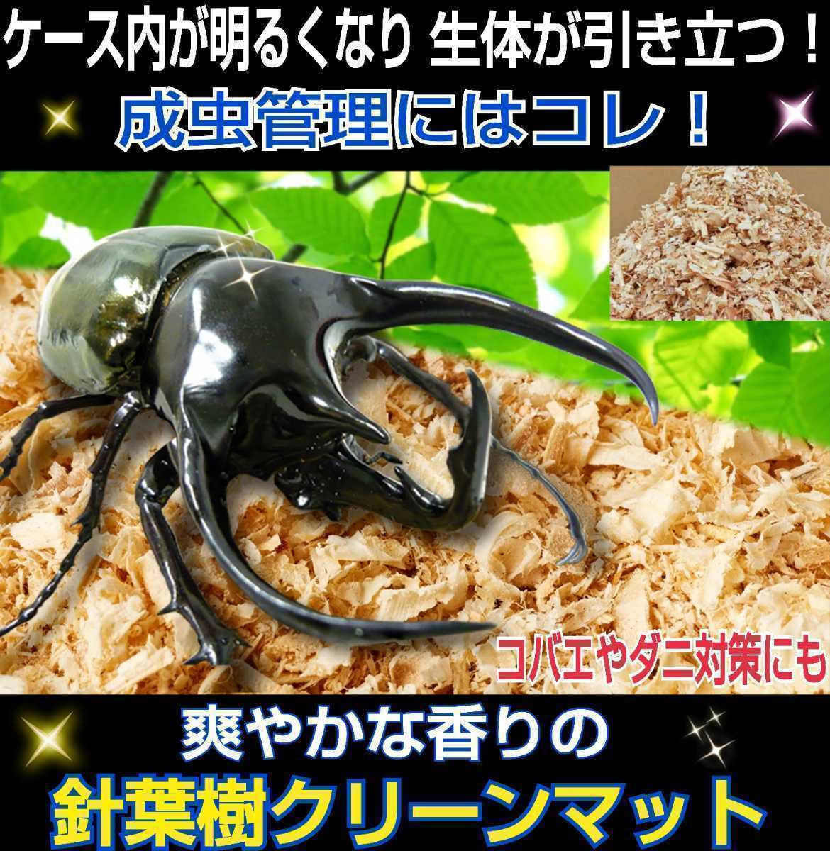 セールSALE％OFF 昆虫ゼリー プロゼリー300クワガタ カブトムシ ハムスター モモンガ 小動物N