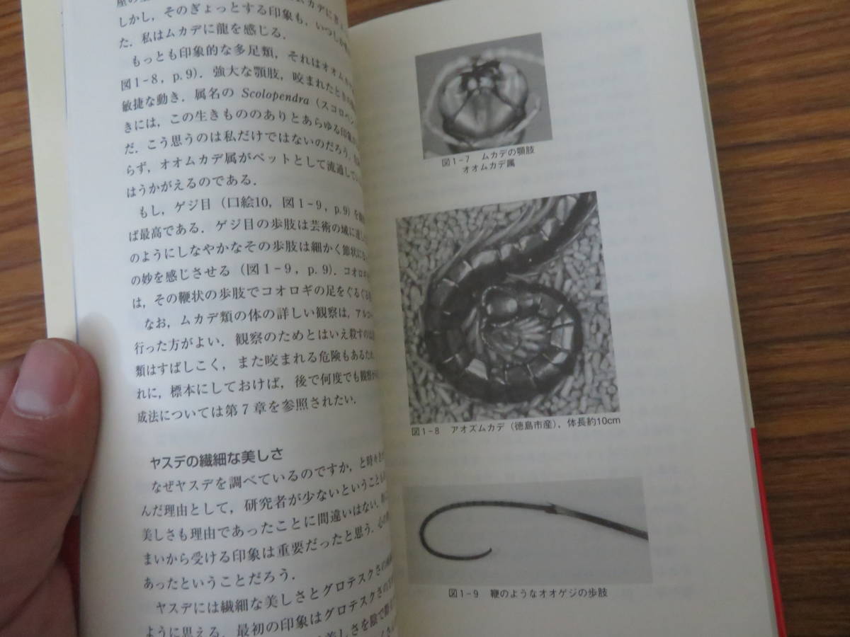 【高い素材】 多足類読本 ムカデとヤスデの生態学 著者:田辺力 東海大学出版 生物学