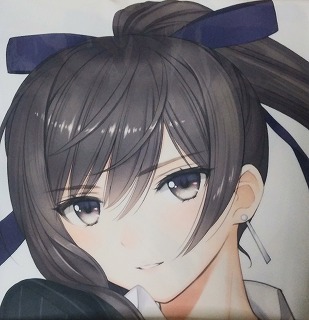 お手頃価格 シャイニング・ブレイド/サクヤ/先生ver/抱き枕カバー/T2 ART WORKS/Tony/Ciel/SEGA 抱き枕