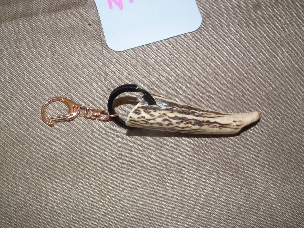 ezo deer angle . key holder hand made . raw .. deer cut . goods Wild deer horn key ring angle . approximately 7. deer angle accessory N10