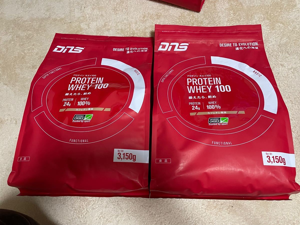 DNS プロテイン 100 カフェオレ風味 3150g×2 - www.einblicks.co.in