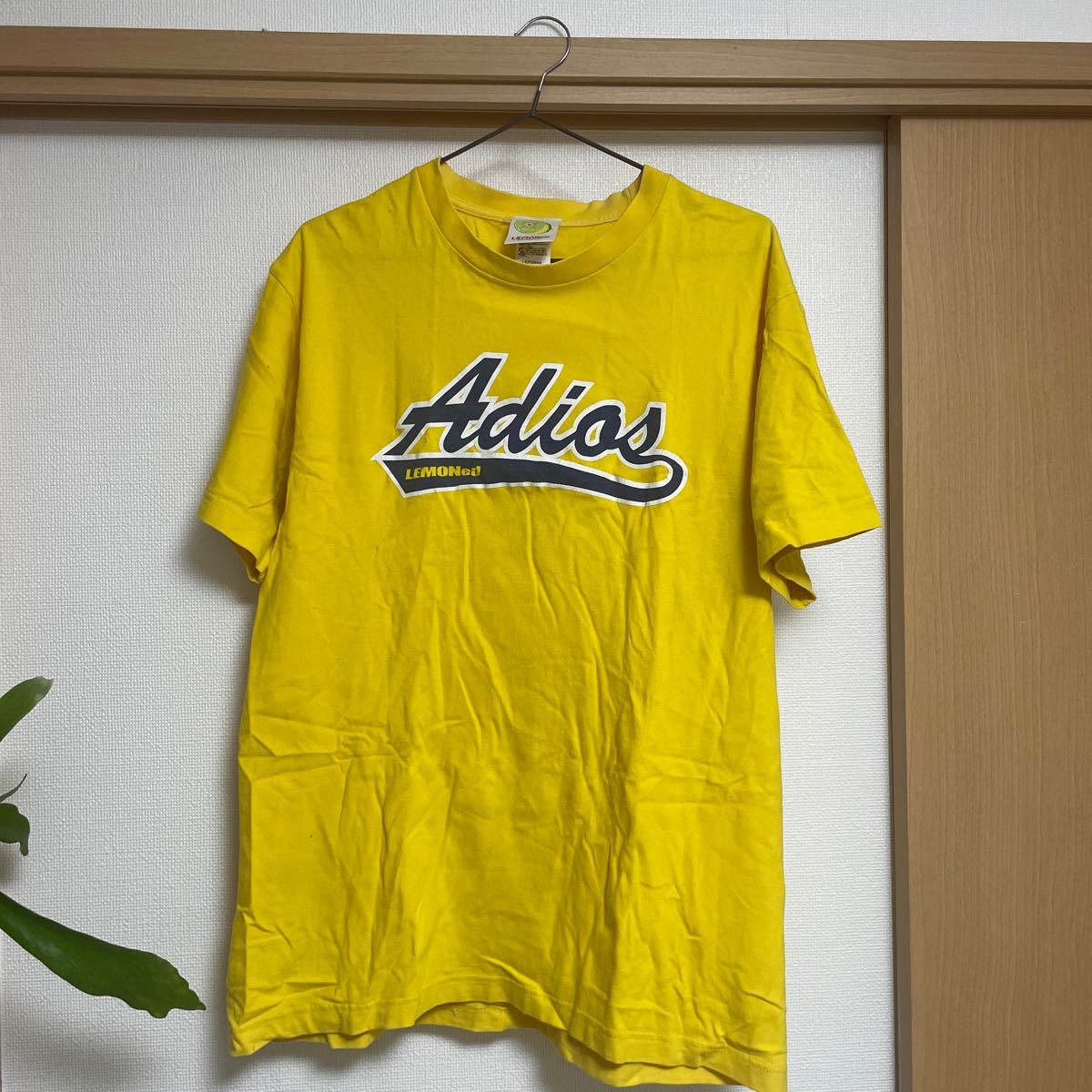 AdiosアディオスTシャツ hide LEMONed shop 美品 - ミュージシャン