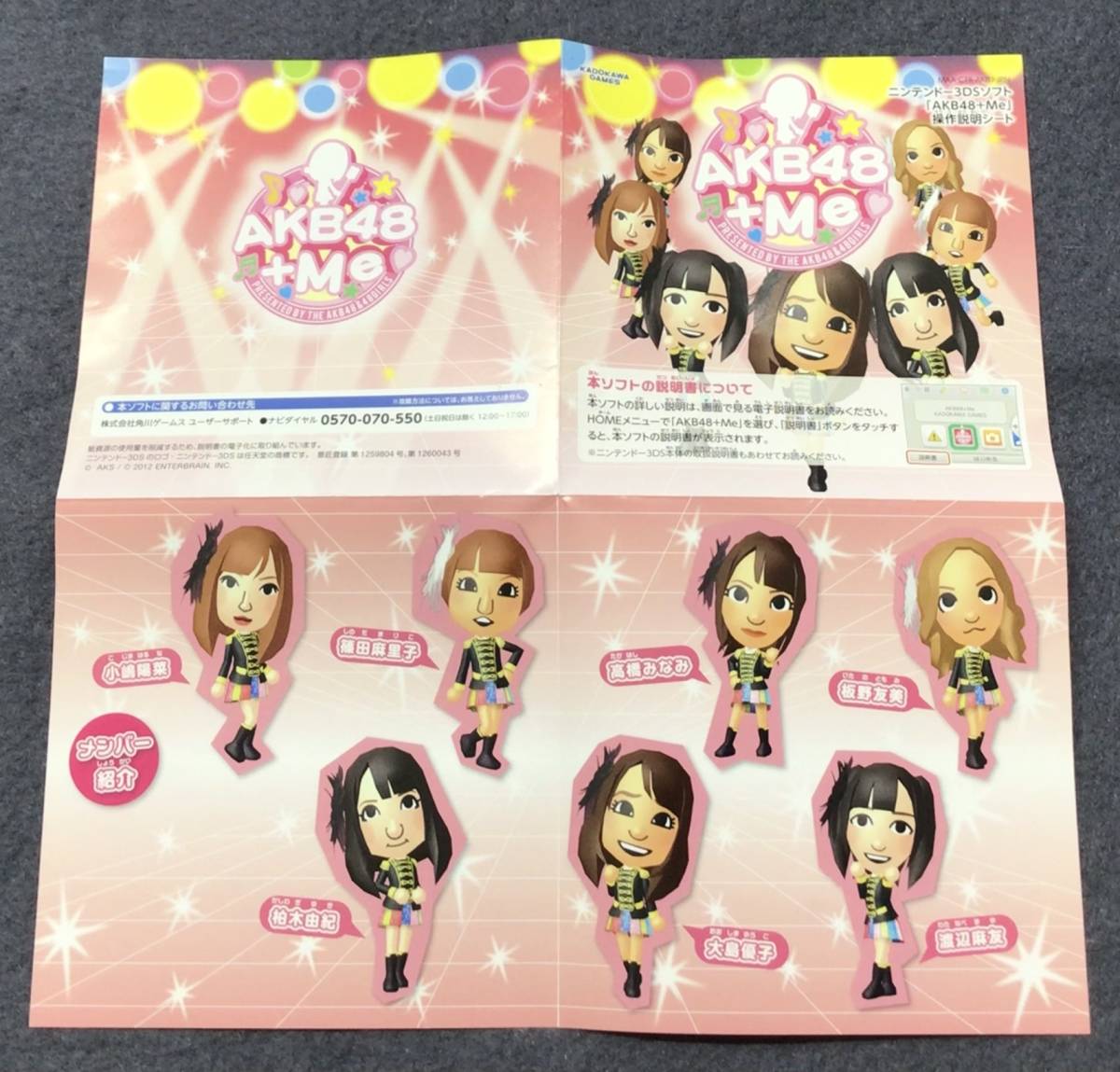  Nintendo 3DS AKB48+Me