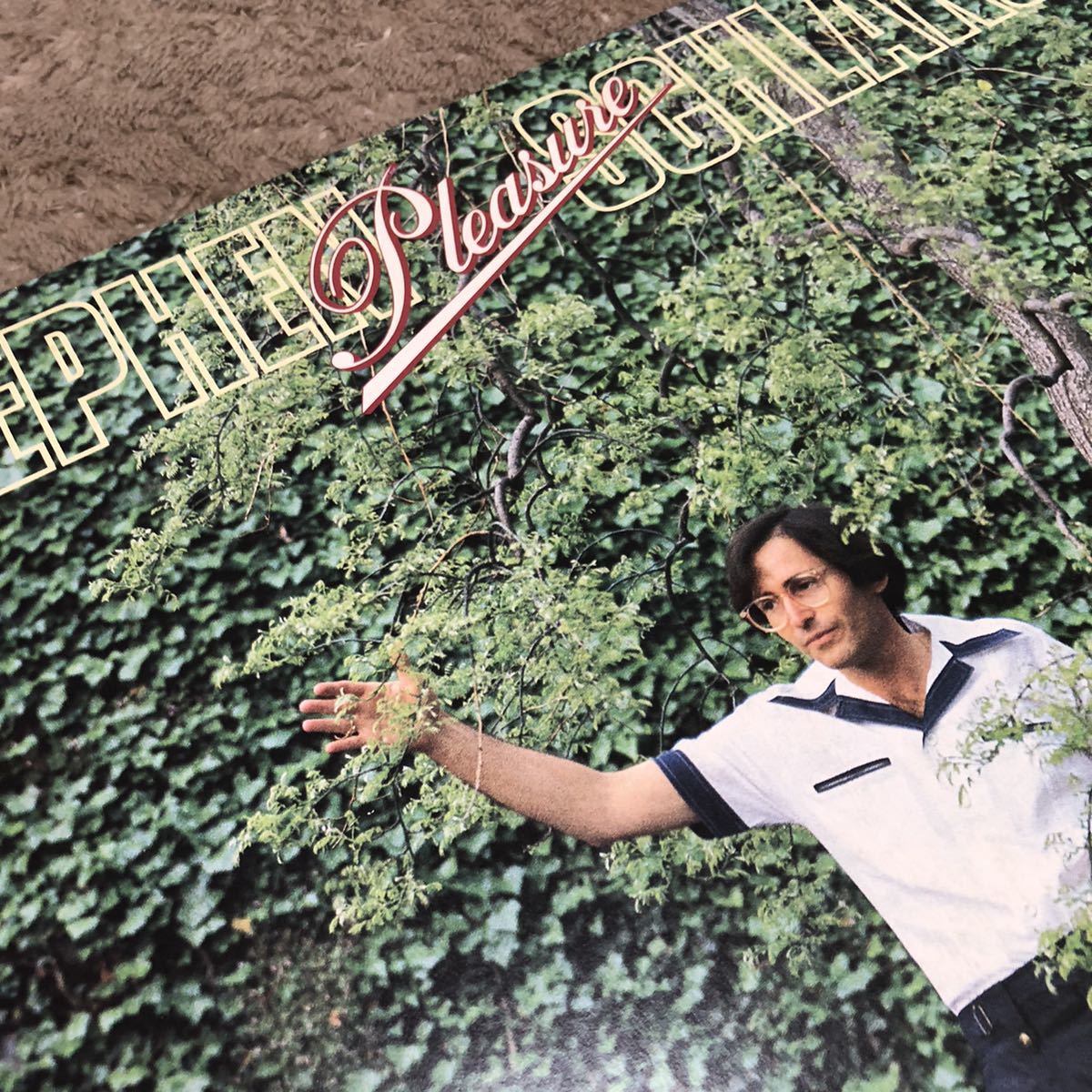 【国内盤】Stephen Schlaks PLEASURE スティーブンシュラックス 愛の航路 / LP レコード / VIP28035 / ライナー有 / 洋楽ロックポップス_画像5