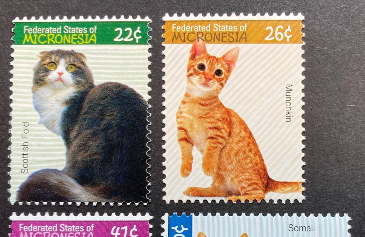  micro nesia2007 year issue cat stamp unused NH