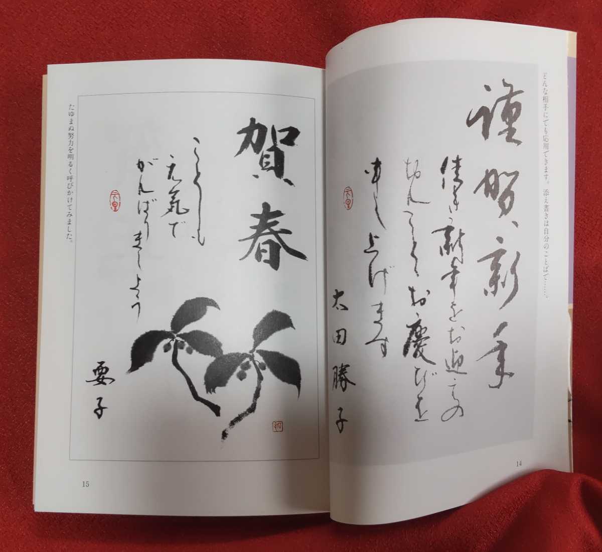 ☆古本◇毛筆の年賀状◇暮しの中の書⑥◇著者川邊尚風□知道出版○平成4年新版◎_画像8