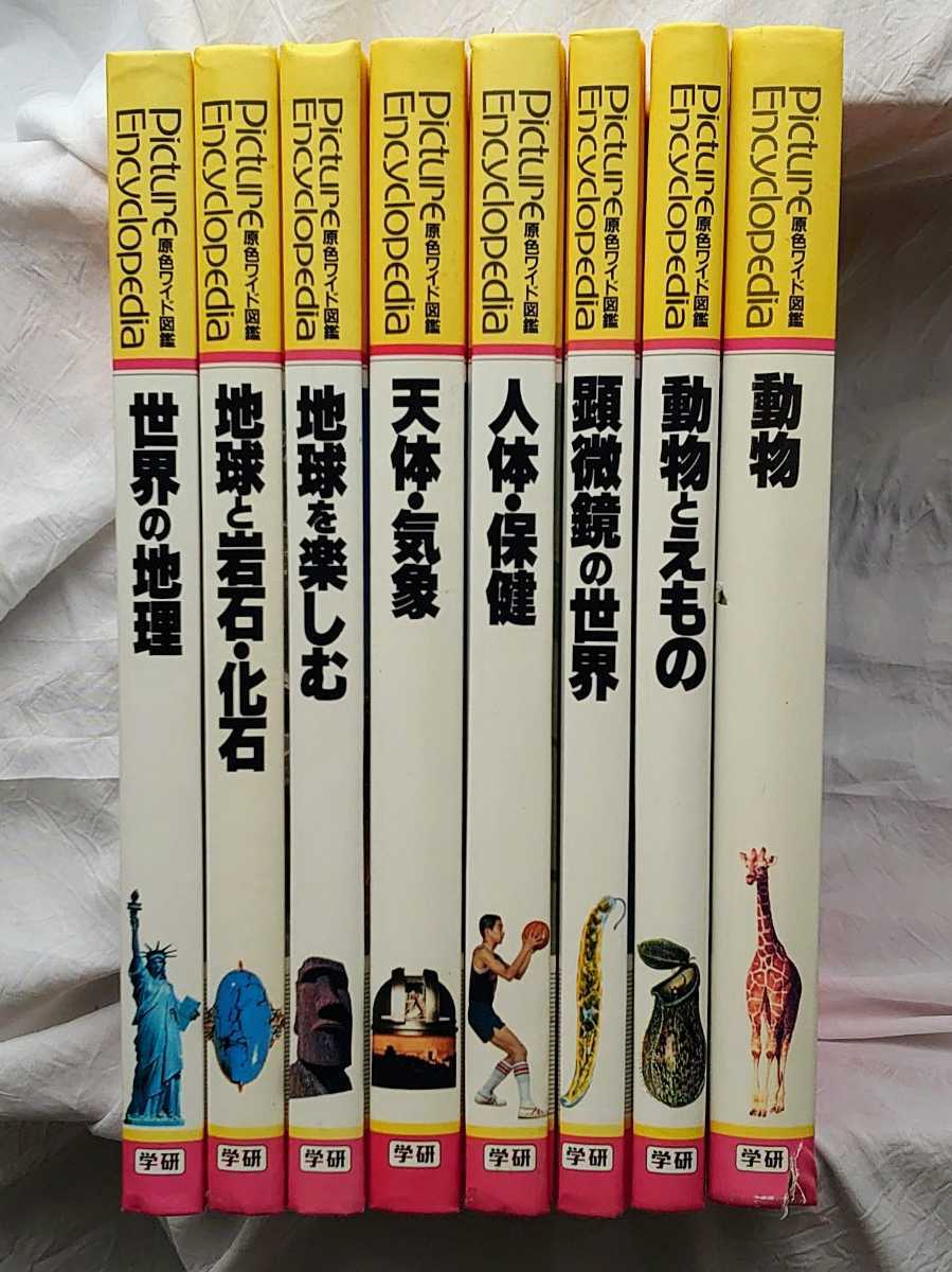 最高の 学研 学研の図鑑 8冊セット 原色ワイド図鑑 図鑑