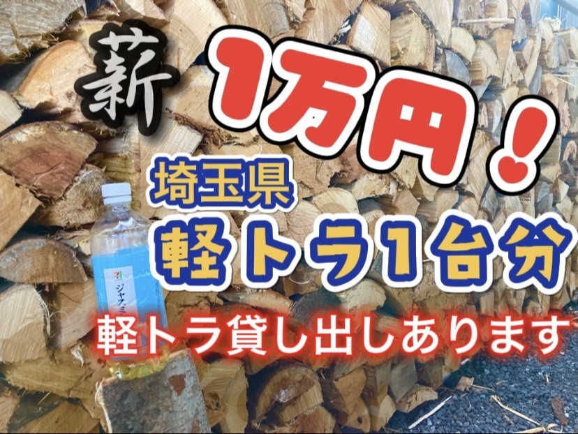 薪 軽トラ一台分 ケヤキ カシ 大量薪 薪たくさんなど 残り29台 薪 軽トラ一台分 ケヤキ カシ 大量薪 薪たくさんなど 残り29台