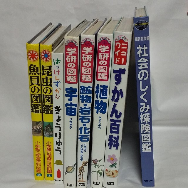 図鑑 8冊セット ずかん 植物 鉱物 化石 岩石　宇宙 きょうりゅう 魚　貝　社会のしくみ　学研の図鑑　小学館の学習百科図鑑ニューワイド　_画像1