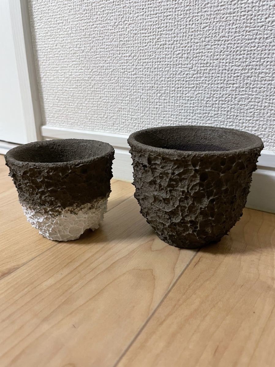 left botanical (検 鉢 コーデックス botanize konect spicygem