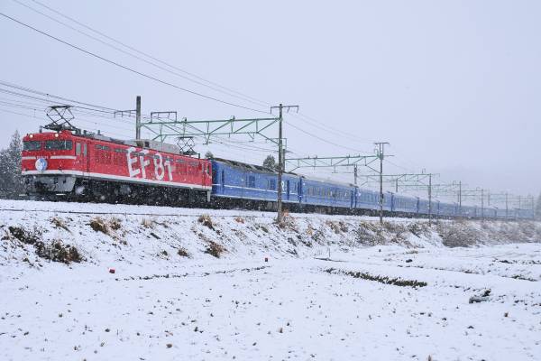 鉄道 デジ 写真 画像 EF81 EF64 24系 越後 団臨 HM付き　3_画像2