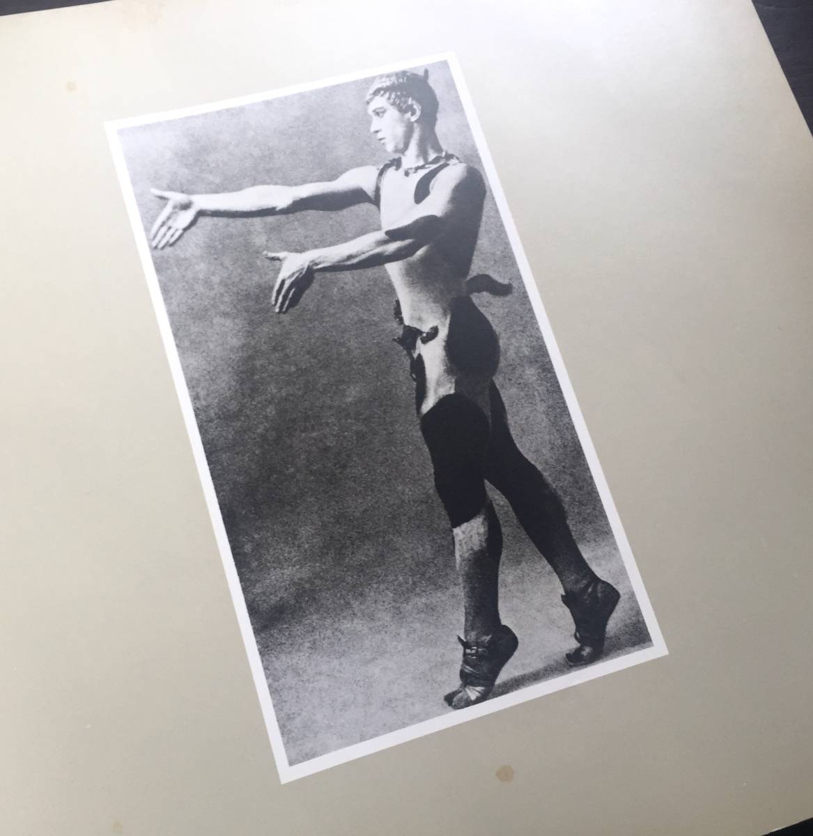 稀少 舞踏写真集 洋書】『 Nijinsky Dancing ニジンスキー 稀少 舞踏写真集 洋書】『 Nijinsky Dancing ニジンスキー