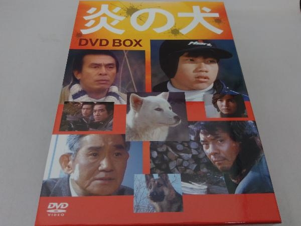 美品 DVD 炎の犬 DVD-BOX キャスト:三ツ矢歌子 松田洋治 平泉成etc. - DVD