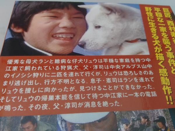 美品 DVD 炎の犬 DVD-BOX キャスト:三ツ矢歌子 松田洋治 平泉成etc. -