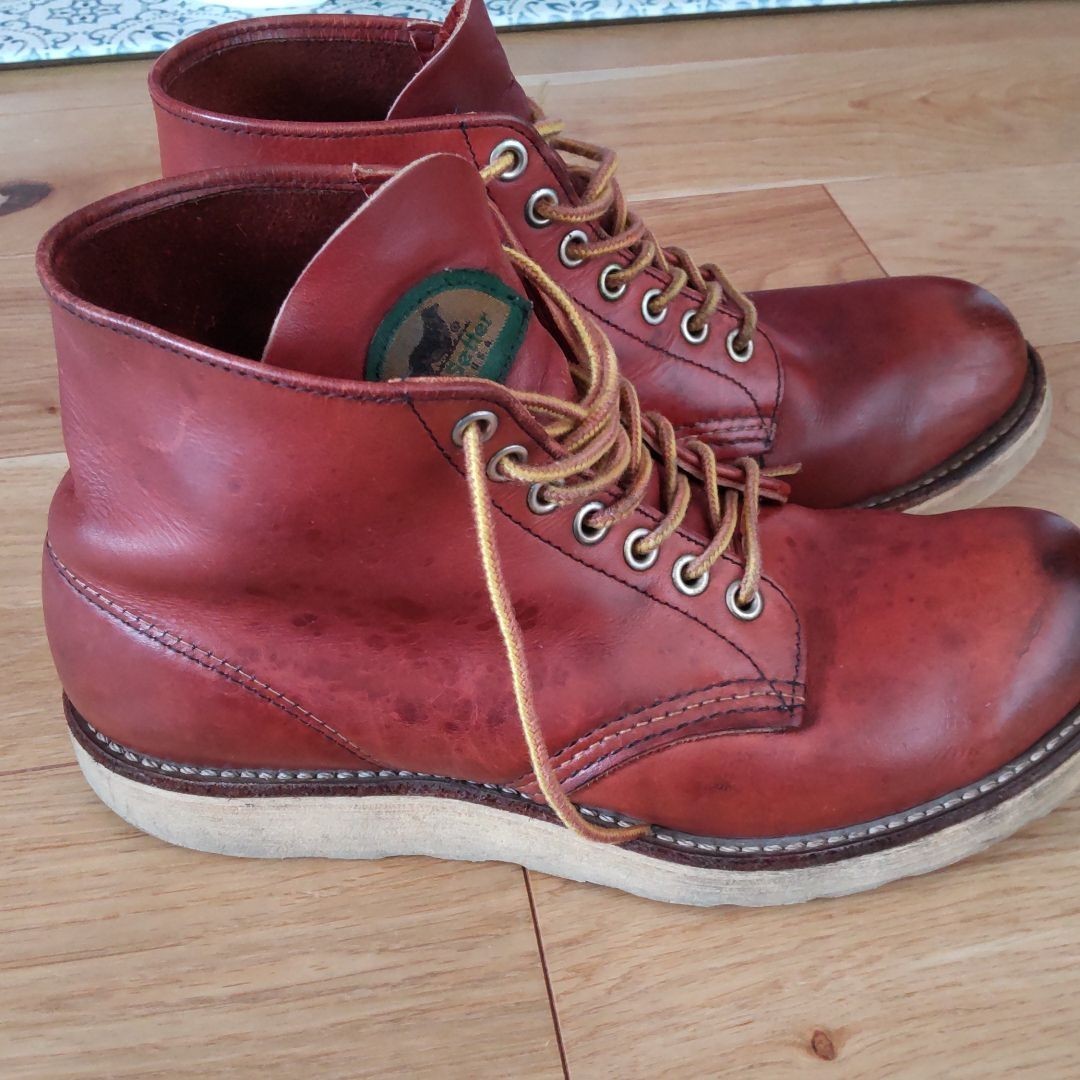 RED WING レッドウィング 半円犬タグ アイリッシュセッター 8166 RED WING レッドウィング 半円犬タグ アイリッシュセッター 8166