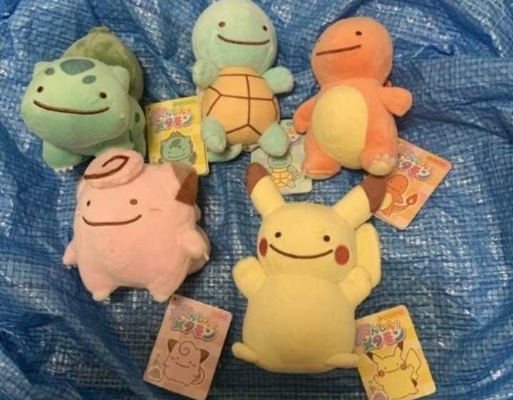 正規店仕入れの ポケモンセンター へんしん メタモン ぬいぐるみ ５体 ピカチュウ フシギダネ ヒトカゲ ゼニガメ ピッピ 美品 タグ付 今だけ限定価格 Firstclasseventos Com Br