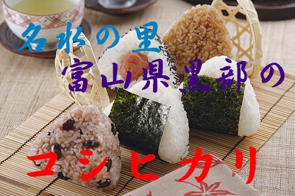 1円～★令和3年産/名水の里★富山黒部コシヒカリ1等玄米10㎏_画像1