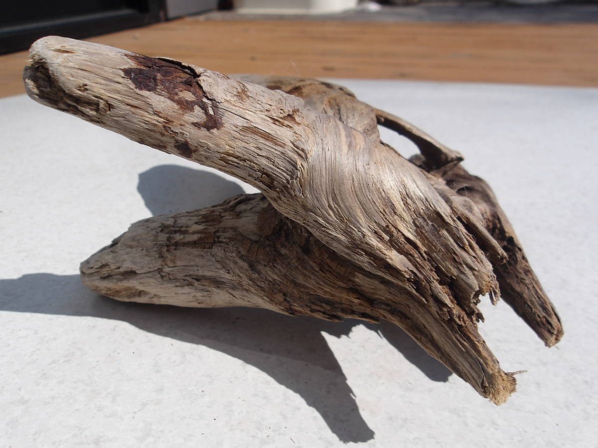  driftwood approximately 22.5x20x10cm