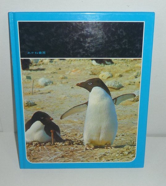 鳥1972『ペンギンのくに／科学のアルバム18』 鳥居鉄也 著_画像2