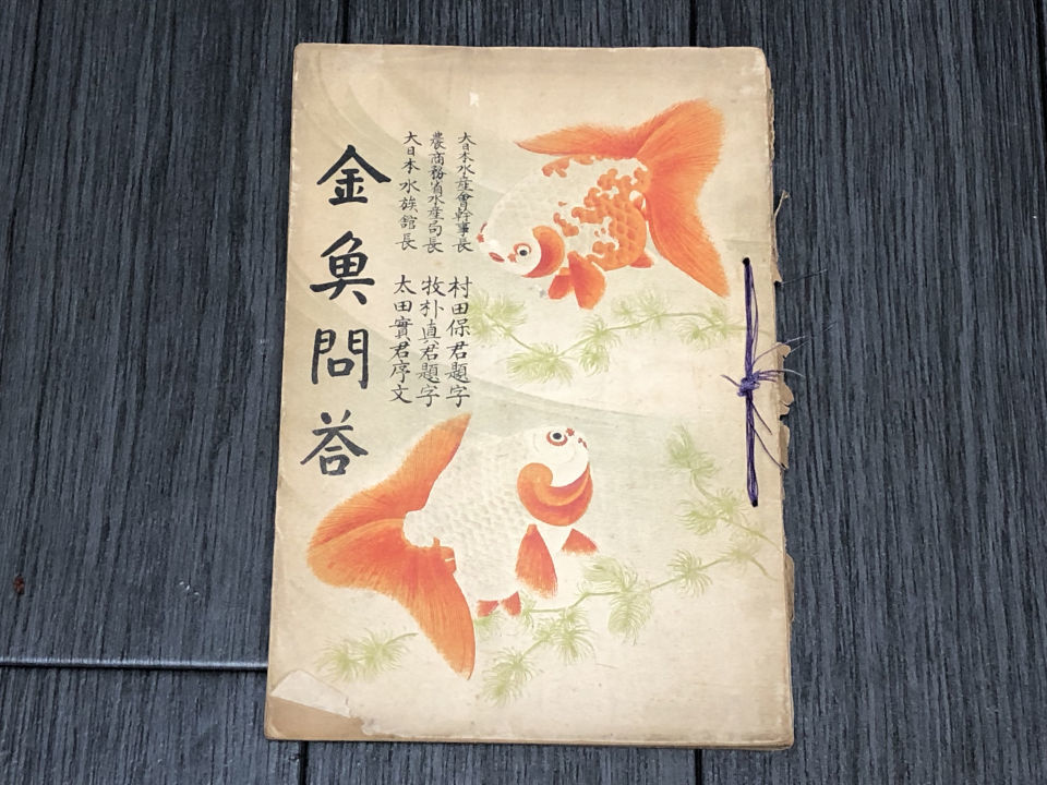 BCL☆廃局☆入手困難☆幻のベリカード☆オランダ海賊局☆RADIO BCL☆廃局☆入手困難☆幻のベリカード☆オランダ海賊局☆RADIO