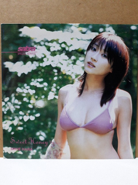 原幹恵 sabra パーフェクト・チャンス Sweet Honey Version 応募者全員サービス DVD 非売品 サブラ