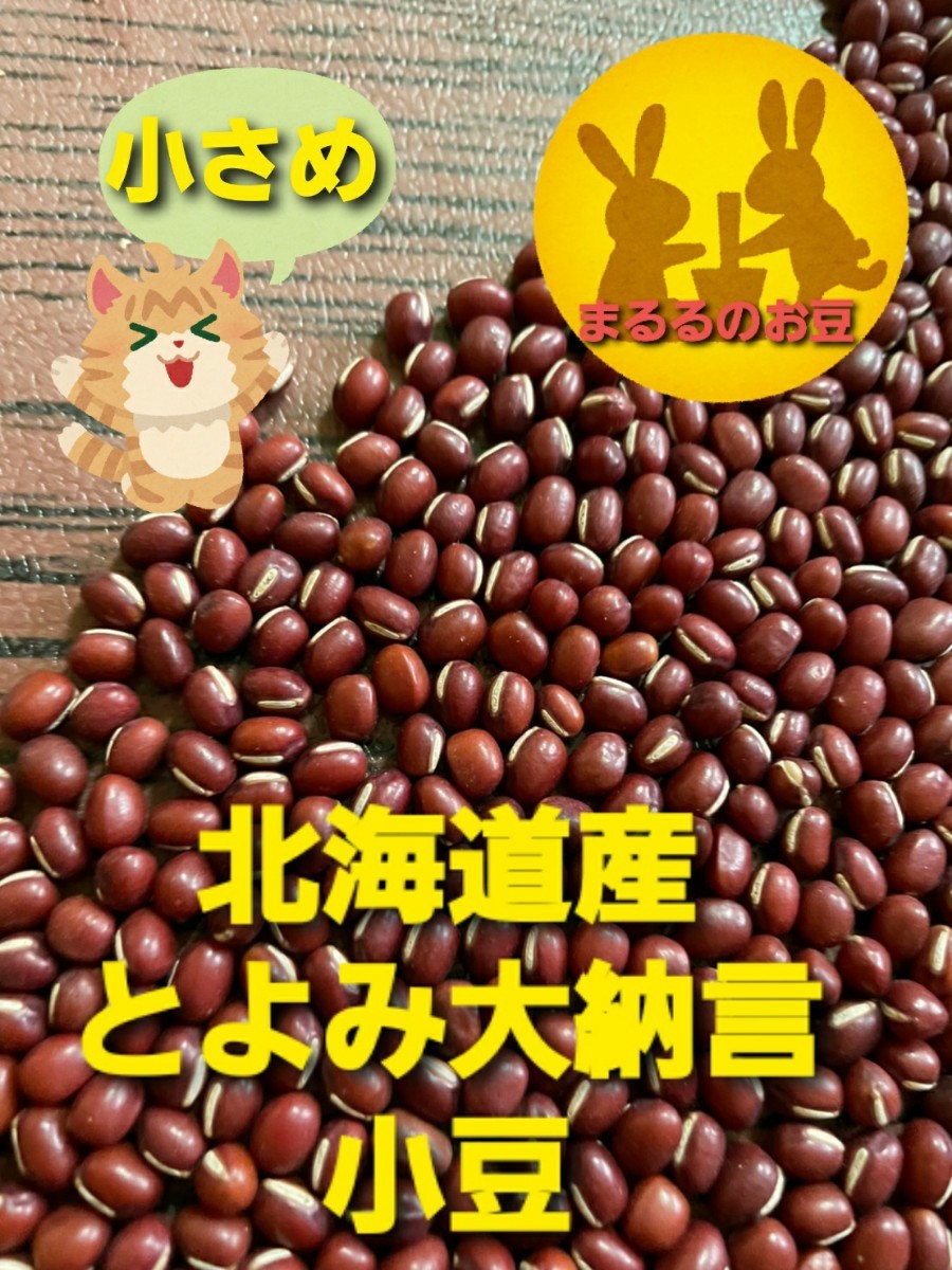 現金特価 この大きさって何?北海道産 とよみ大納言小豆 900g