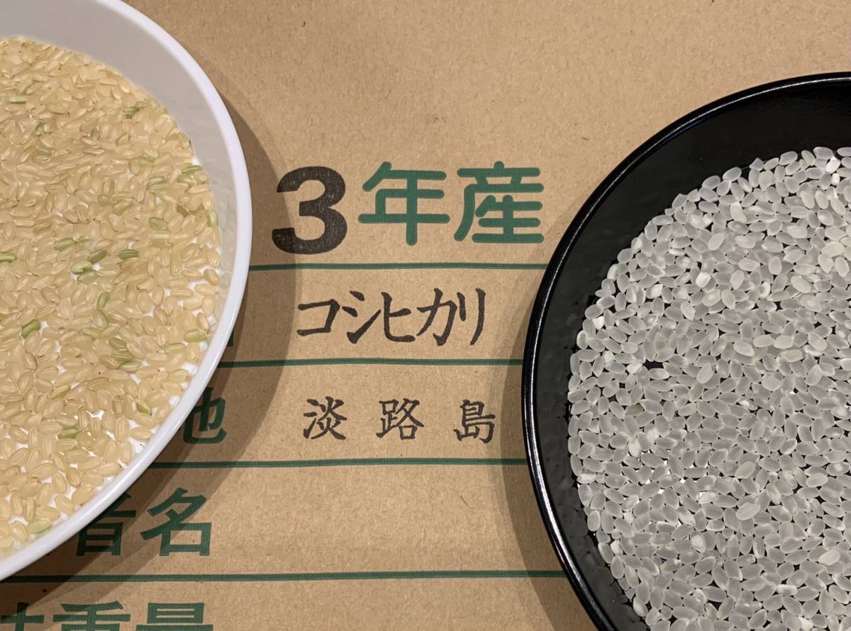 超人気高品質超人気高品質s-bahn様専用 農薬無し純こしひかり30㎏ 玄米