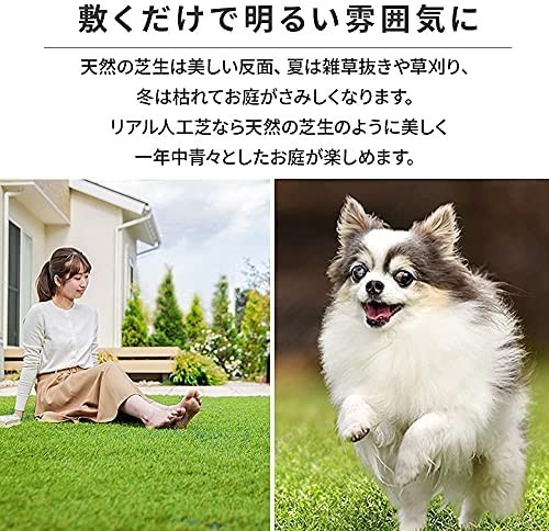 在庫あり 2m 10m 防草人工芝 国産 アイリスオーヤマ 芝丈3cm Rp 防草仕様なので雑草対策不要 防カビ仕様 その他 Absoluteapplianceservices Com 在庫あり 2m 10m 防草人工芝 国産 アイリスオーヤマ 芝丈3cm Rp 防草仕様なので雑草対策不要 防カビ仕様 その他 Absoluteapplianceservices Com