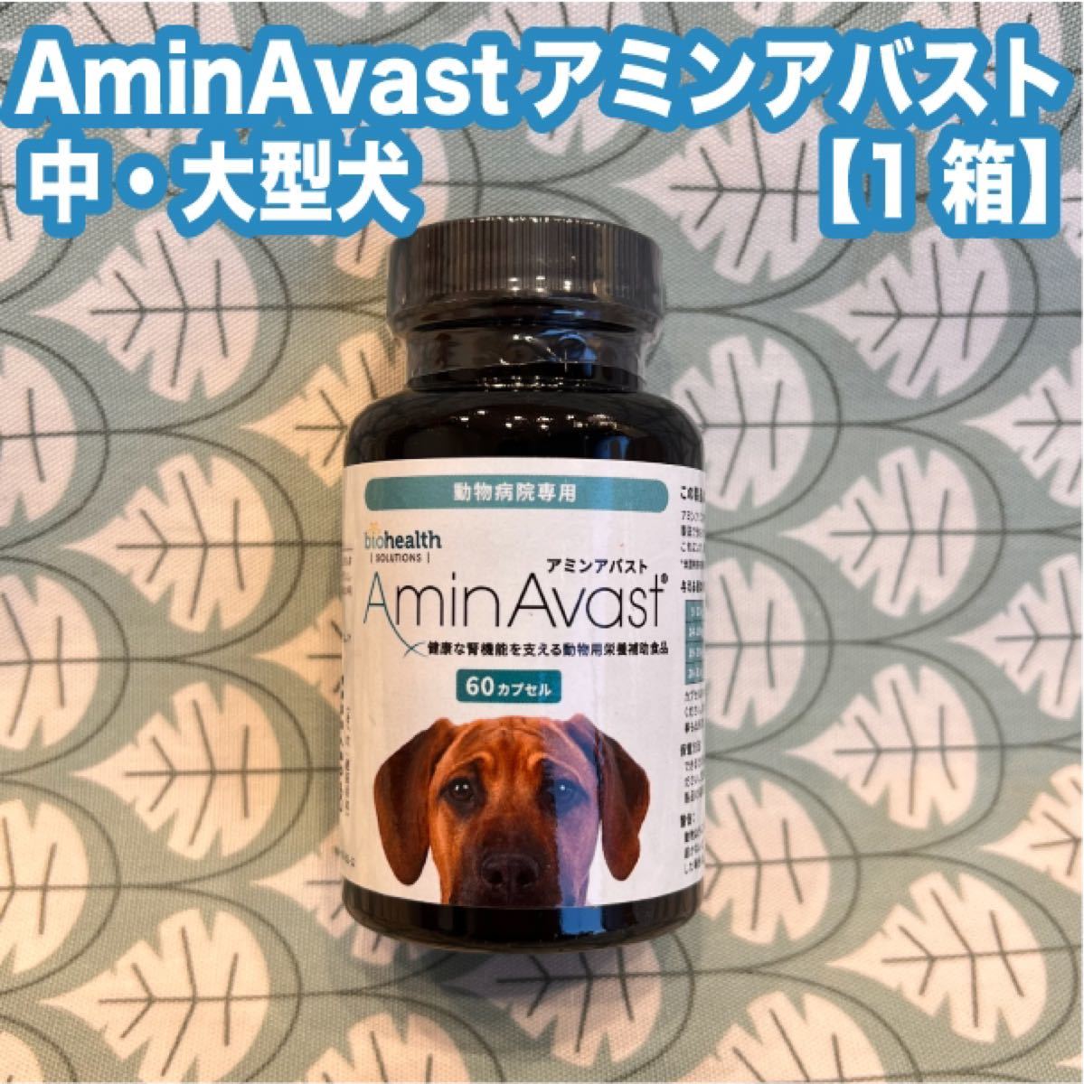 アミンアバスト1000mg 60カプセル 1箱 | contifarma.pe