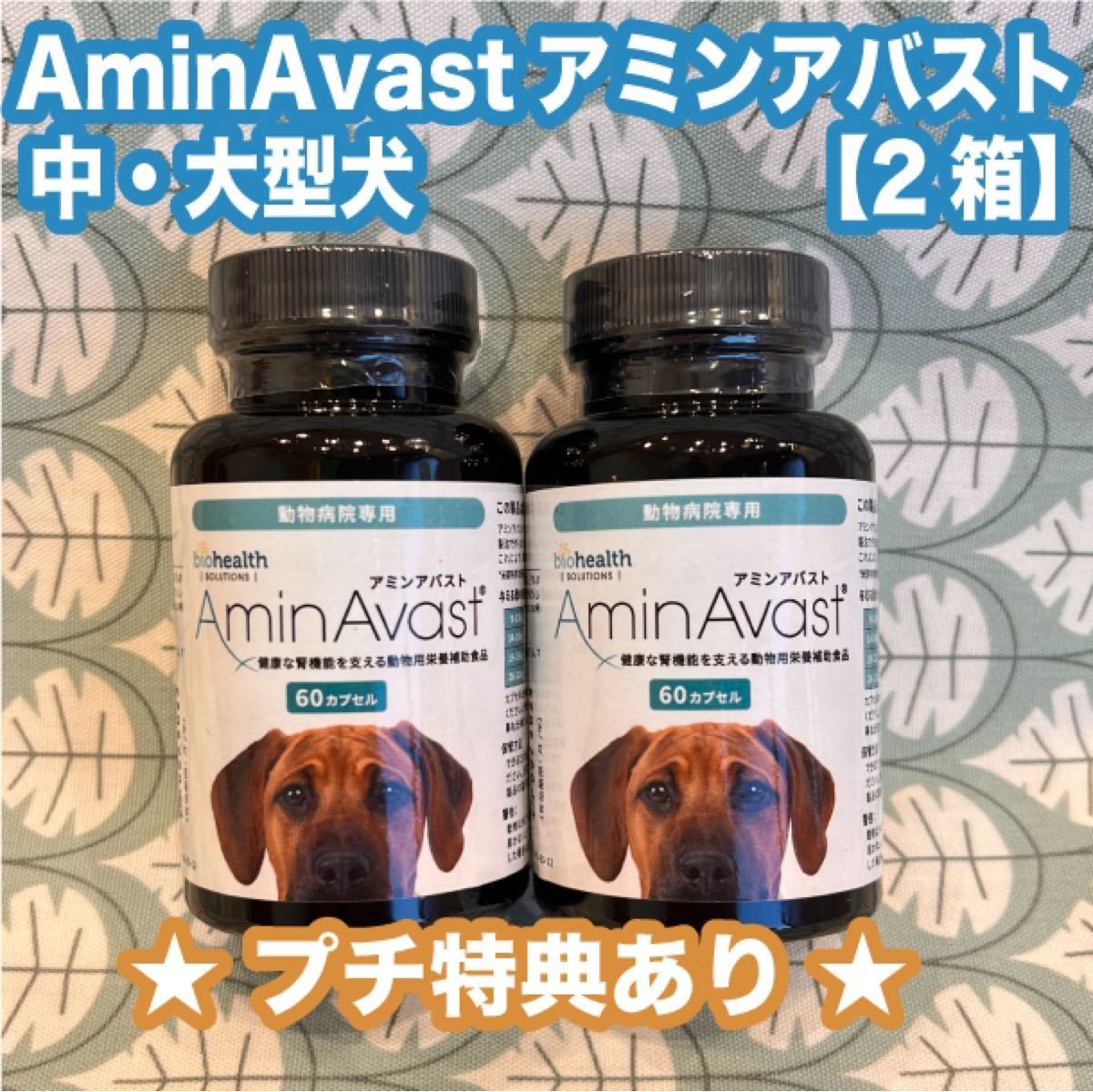 アミンアバスト1000mg 60カプセル 2箱〈おまけ付き〉 | contifarma.pe