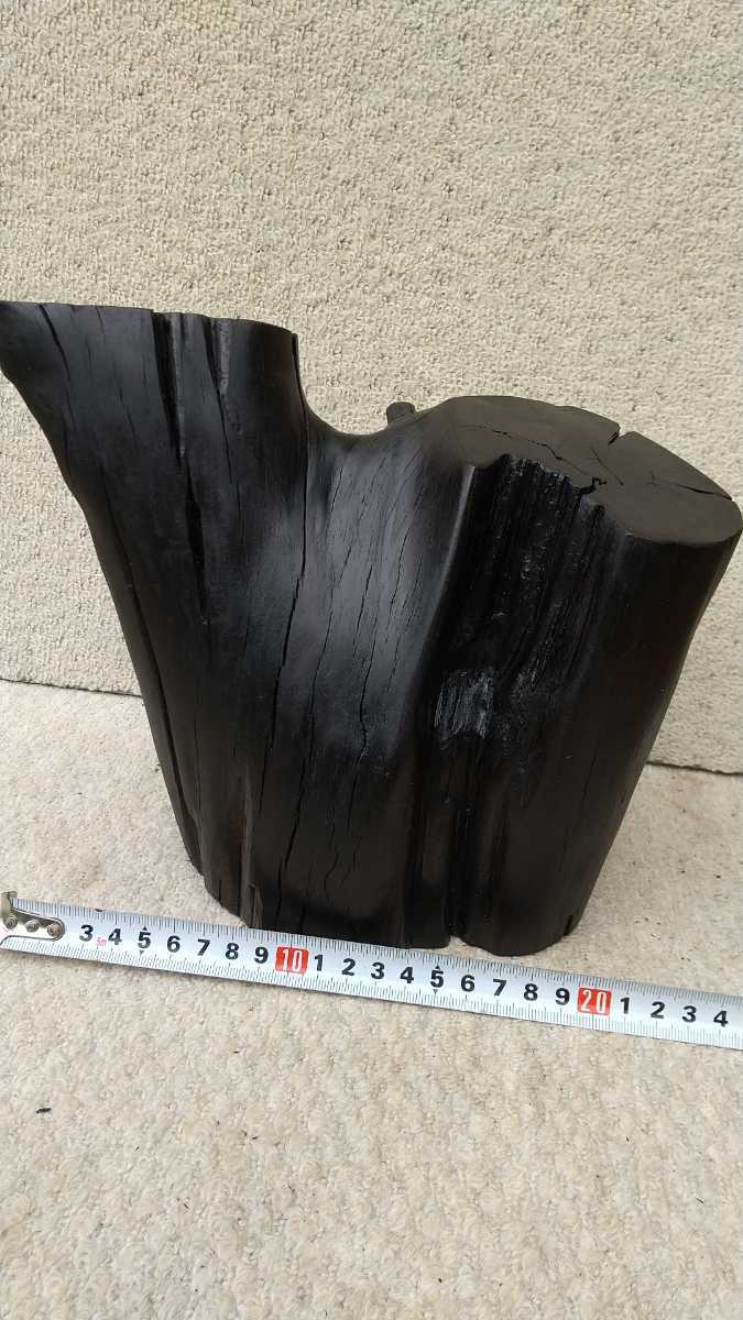 小笠原桑 絶滅危惧種1A 世界自然遺産 希少銘木 小笠原桑 絶滅危惧種1A 世界自然遺産 希少銘木