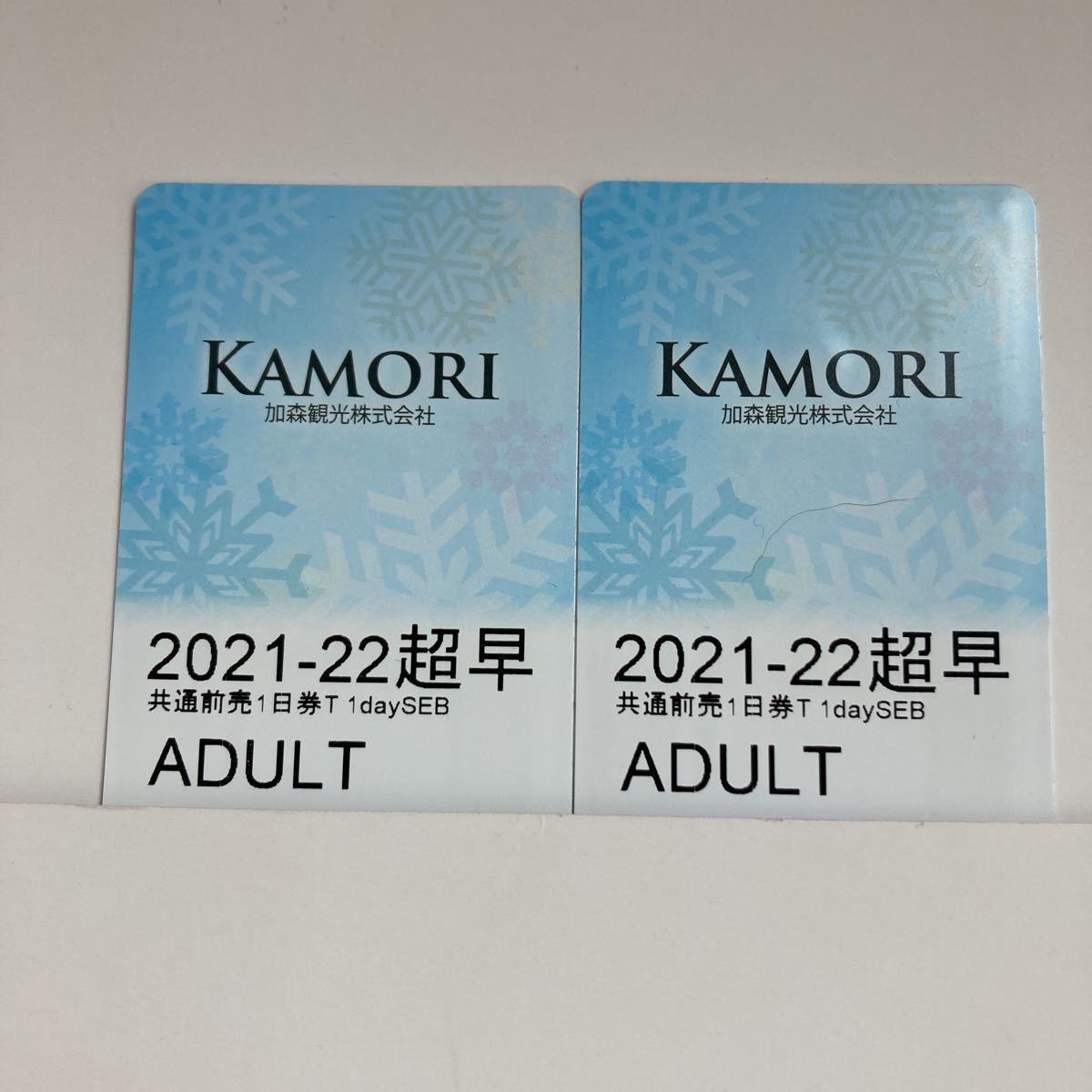 加森グループ3山共通リフトゴンドラ1日券 ルスツ テイネ サホロ 2枚
