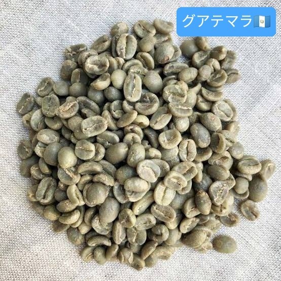 [生豆]コーヒー【グアテマラ】【ブラジルサントス】 コーヒー豆 生豆 珈琲