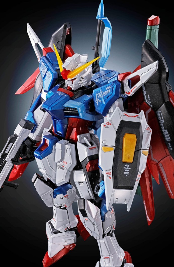 プレバン限定 RG デスティニーガンダム(チタニウムフィニッシュVer