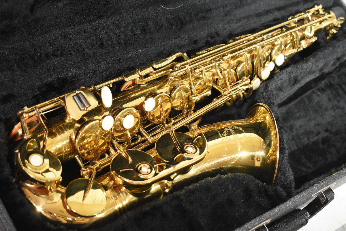 Maxtone マックストーン アルトサックス【5000円~!!】 www.gastech.com.tr