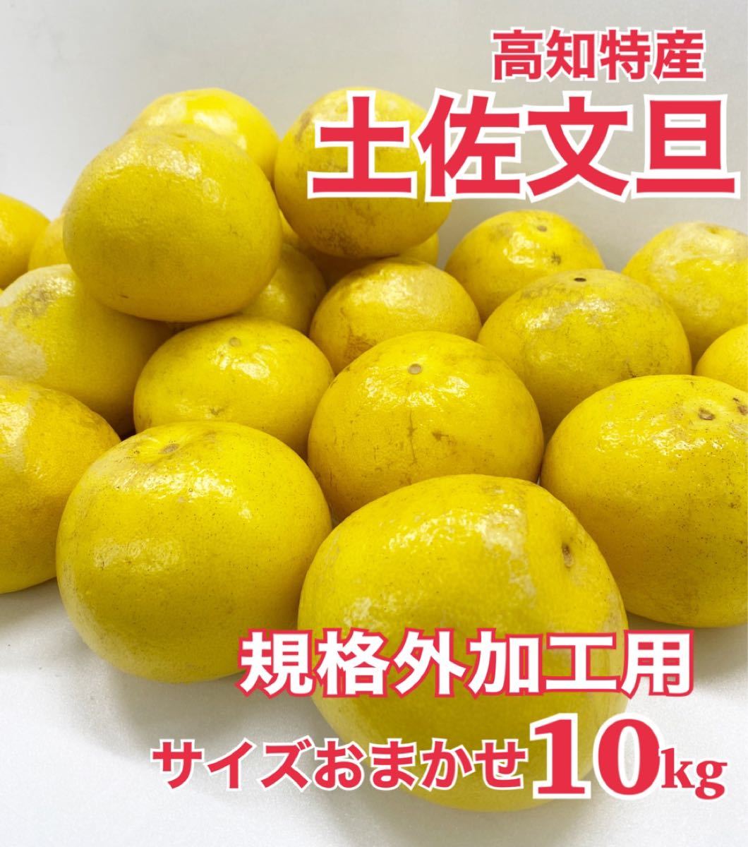 ㉜高知特産 お買い得 土佐文旦 文旦 露地栽培 4L~3L約20kg 果物