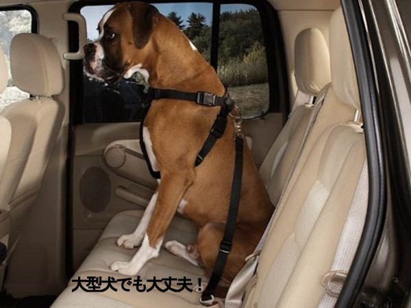 ペット用シートベルト 愛犬を守る 安全ベルト 簡単装着 差込口に繋げるだけ 長さ調節可能 車専用 ペット用 （ブラック）_画像5