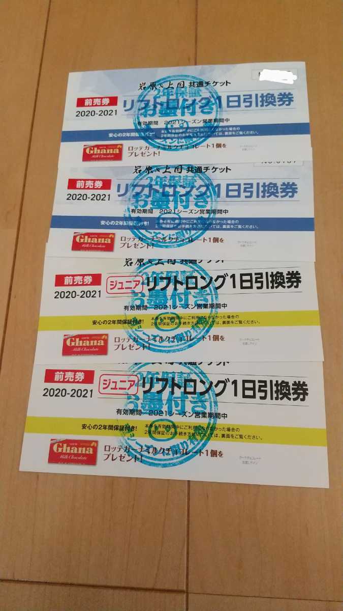 岩原&上越国際スキー場 1日券引換券1枚 有効期間:2021オープン~2022